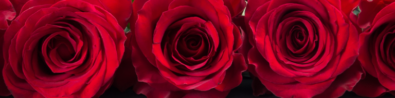 What Do Valentine's Flowers Mean | Appleyard | Flowers
