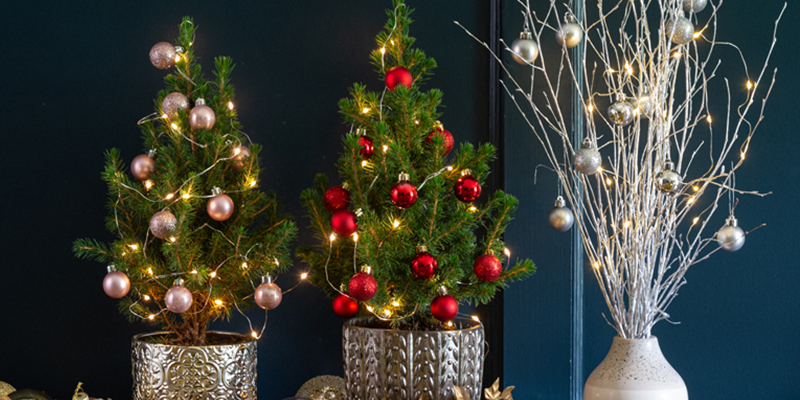 6 Ways You Can Make Christmas Easier With A Mini Tree - Appleyard London