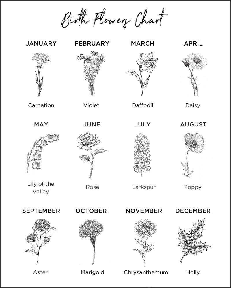 Birth Flowers by Month & Their Meanings - Appleyard London