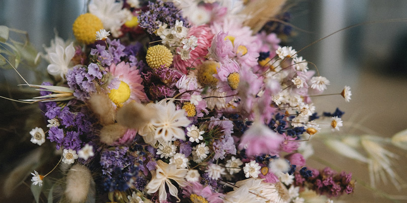 Bouquets of natural dried plants of dried flowers that retain