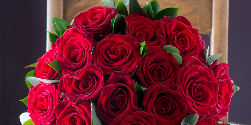 How the Red Rose Became the Ultimate Symbol of Love - Appleyard London