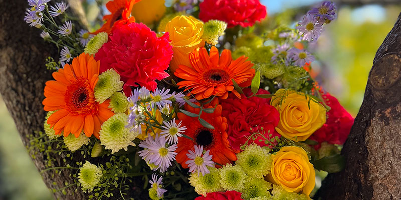 10 Flowers that Symbolise Friendship - Appleyard London