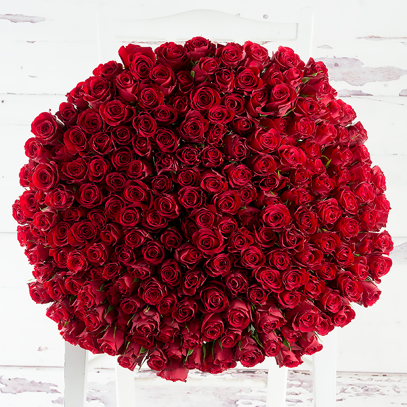 200 Luxury Red Roses - Flower Bouquet - Next Day Flower Delivery UK - Appleyard London