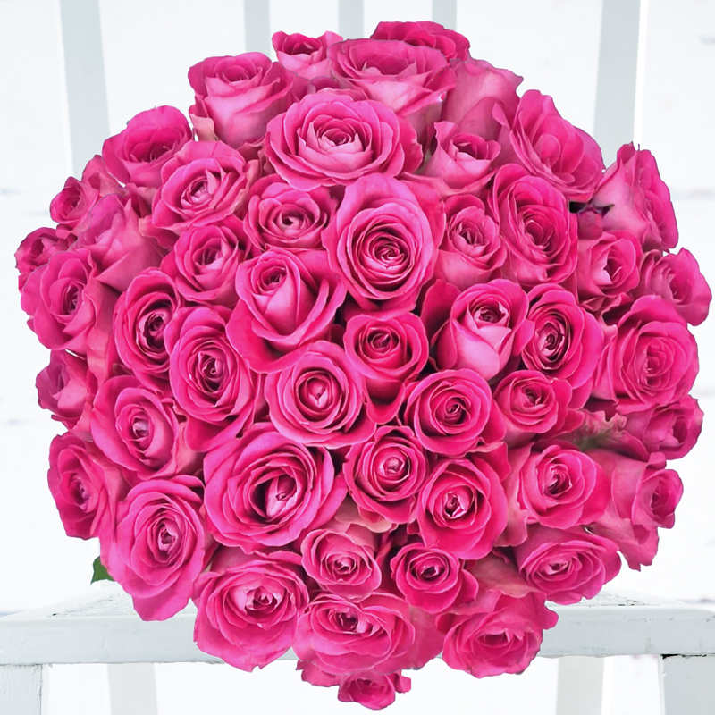 50 Pink Roses - Flower Bouquet - Next Day Flower Delivery UK - Appleyard London