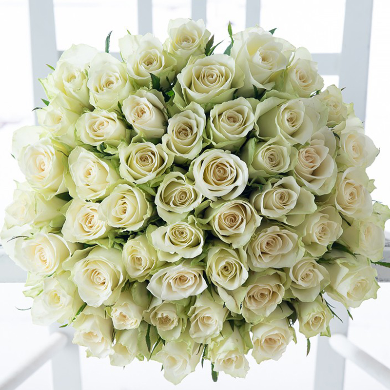 50 Luxury White Roses - Flower Bouquet - Next Day Flower Delivery UK - Appleyard London
