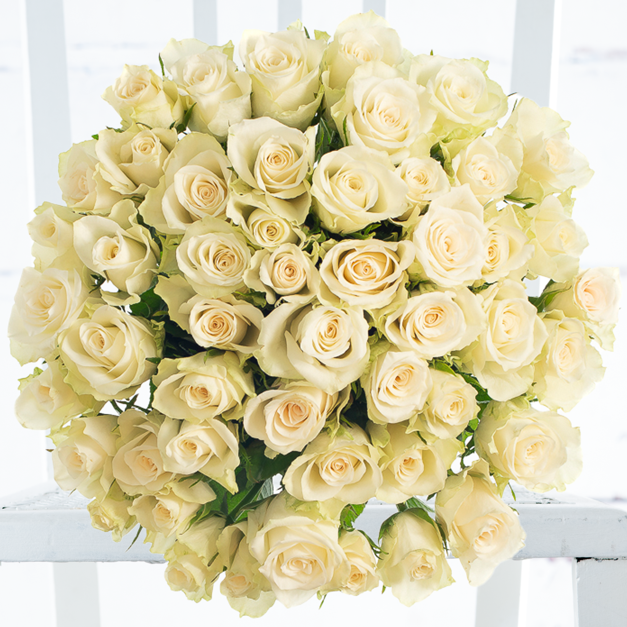 50 White Roses - Flower Bouquet - Next Day Flower Delivery UK - Appleyard London