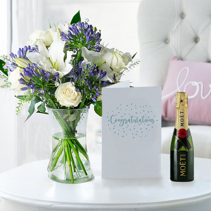 Flower Gift Set Congratulations - Bluebelle, Mini Moët, Vase & Card - Agapanthus & Greenbell - Next Day Flower & Gift Delivery UK - Appleyard London