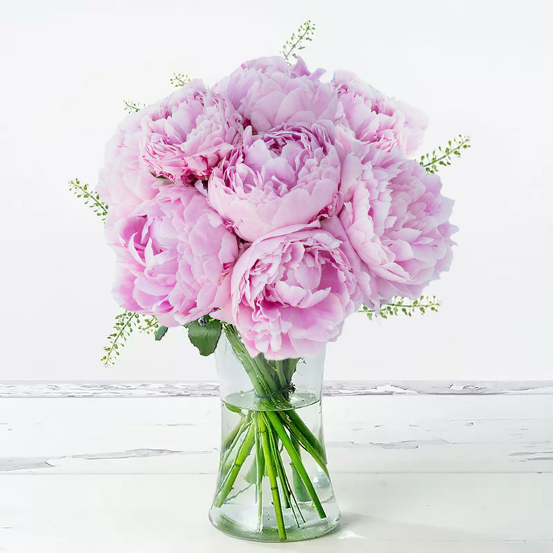 Pink Peonies - Peonies - Flower Bouquet - Next Day Flower Delivery UK - Appleyard London