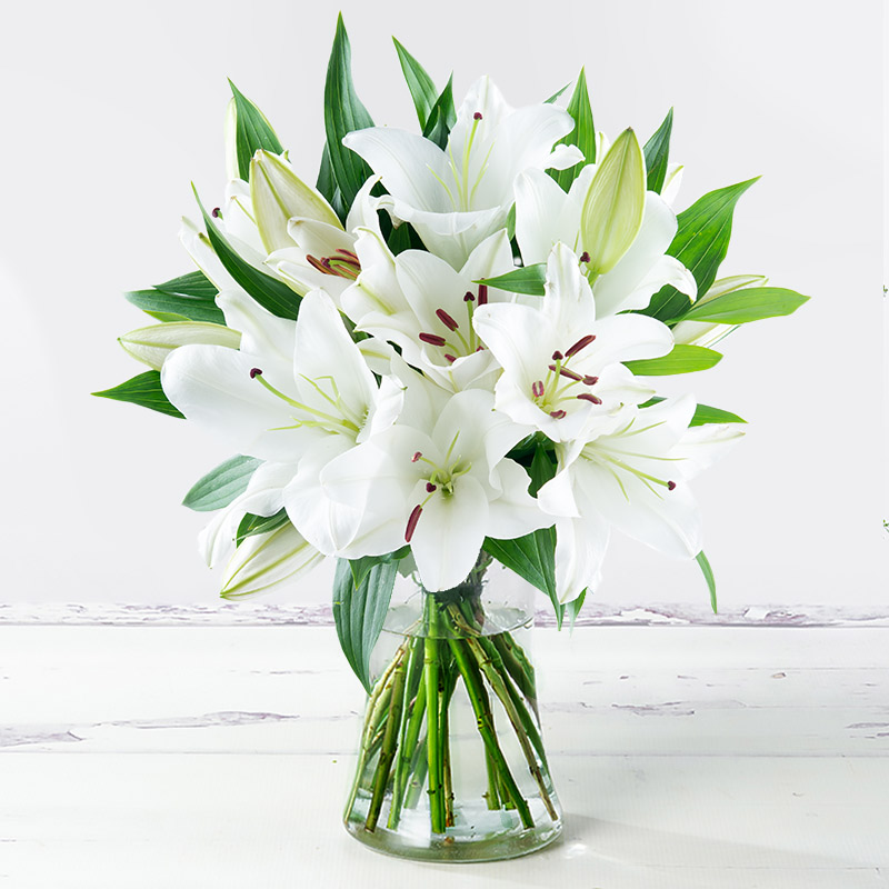 Casablanca Lily Flower Bouquet - White - Lilies & Oriental Lilies - Next Day Flower Delivery UK - Appleyard London