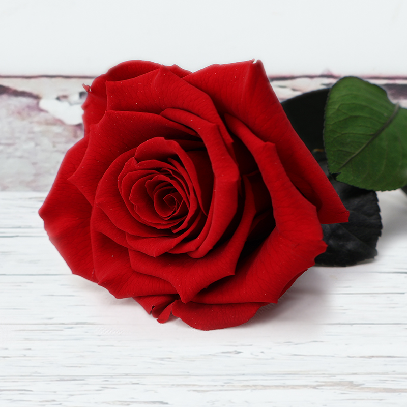 Preserved Rose - Red Preserved Roses - Flower Bouquet - Next Day Flower Delivery UK - Appleyard London