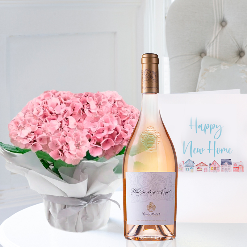 Gift Wrapped Pink Hydrangea Plant, Whispering Angel & New Home Card - Hydrangea & Hydrangeas - Next Day Plant & Gift Delivery UK - Appleyard London