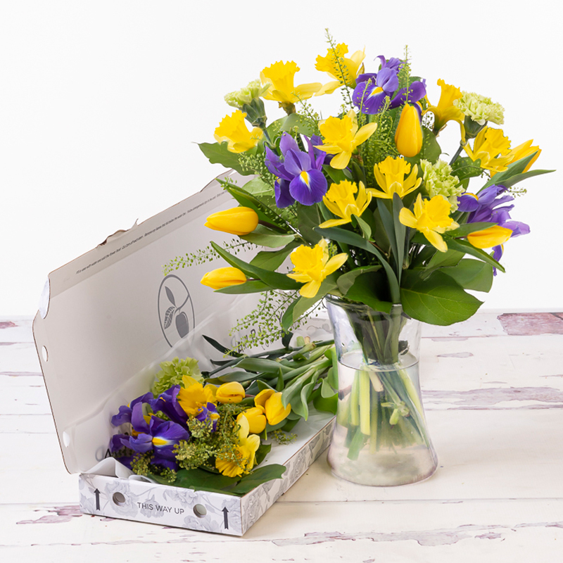 Letterbox Lemon & Blueberry Pie - Daffodils & Daffodil - Flower Bouquet - Next Day Flower Delivery UK - Appleyard London