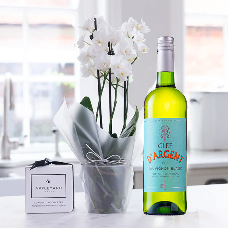 Mini White Orchid, Clef d'Argent Sauvignon Blanc & 6 Mixed Truffles - Orchids - Next Day Plant & Gift Delivery UK - Appleyard London