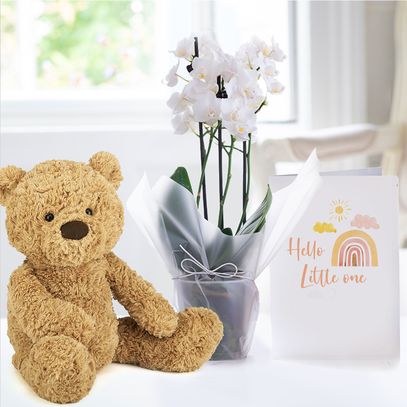 Gift Wrapped Mini White Orchid, Jellycat Bumbly Bear & Hello Little One Card - Orchids - Next Day Plant & Gift Delivery UK