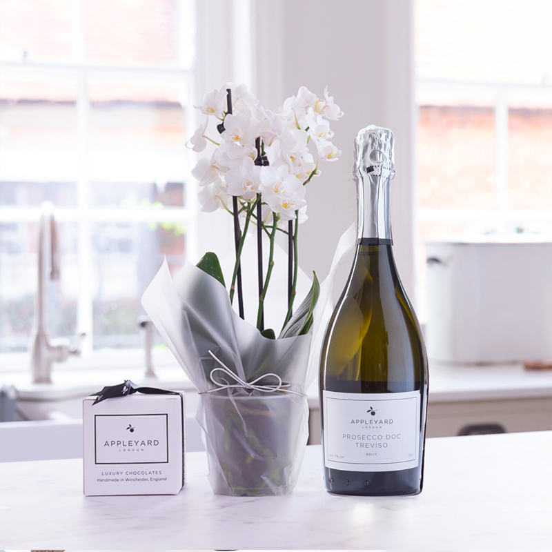 Mini White Orchid, Prosecco & 6 Mixed Truffles - Orchids - Next Day Plant & Gift Delivery UK - Appleyard London