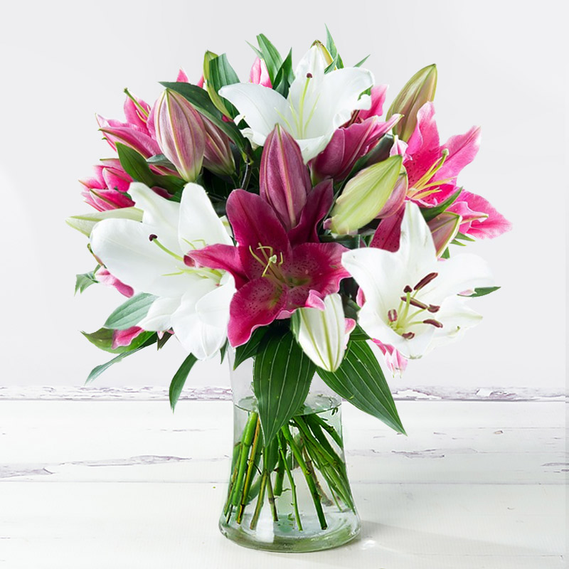 Mixed Lily Flower Bouquet - Lilies & Oriental Lilies - Next Day Flower Delivery UK - Appleyard London