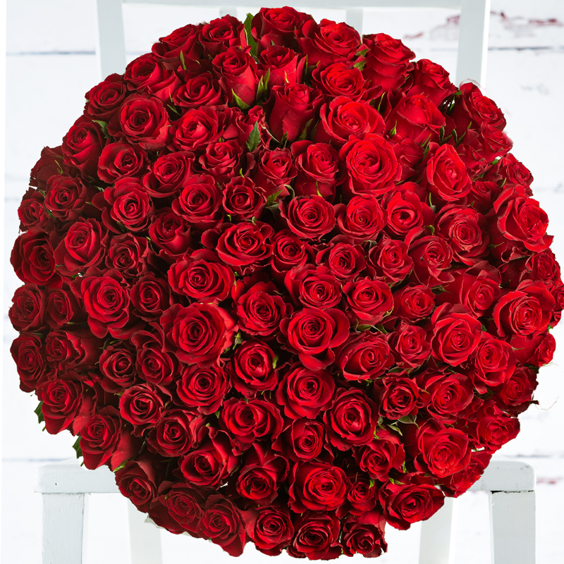 100 Luxury Red Roses - Flower Bouquet - Next Day Flower Delivery UK - Appleyard London