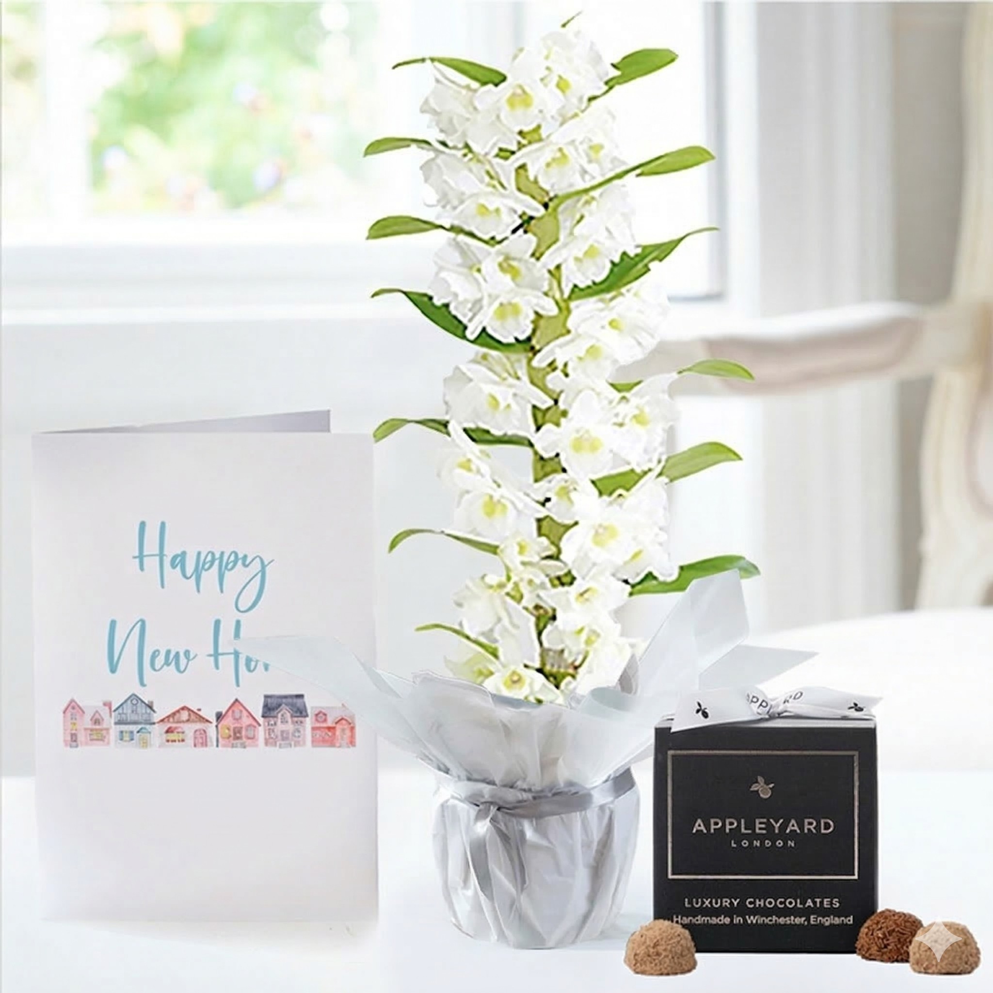 White Scented Dendrobium Orchid in Pot, 12 Truffles & New Home Card - Orchids - Next Day Plant & Gift Delivery UK - Appleyard London