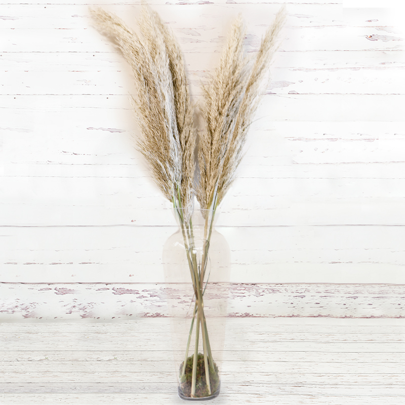 Pampas Vase Gift Set - Flower Bouquet - Next Day Flower Delivery UK - Appleyard London