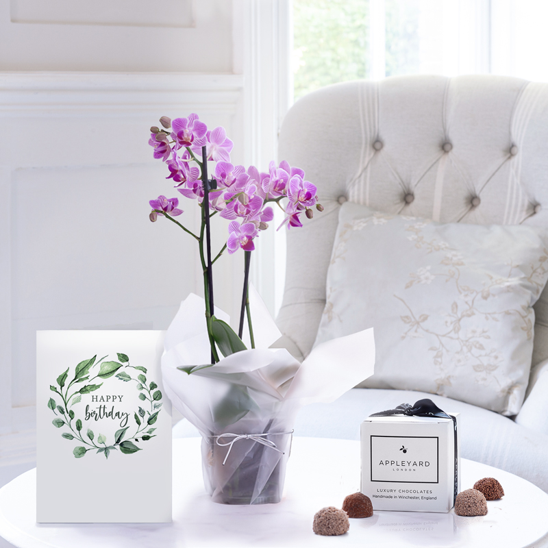 Mini Pink Orchid, 6 Mixed Truffles & Birthday Card - Orchids - Next Day Plant & Gift Delivery UK - Appleyard London