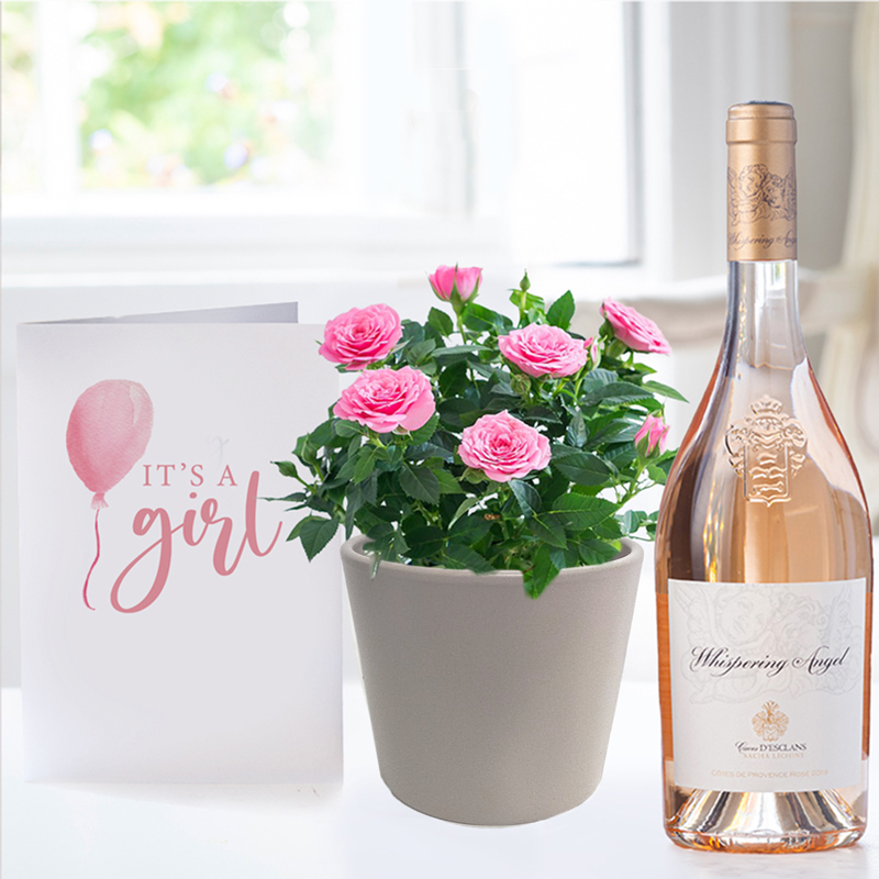 Pink Rose Plant in Pot, Whispering Angel & Baby Girl Card - Plant Gift Set - Next Day Plant & Gift Delivery UK - Appleyard London