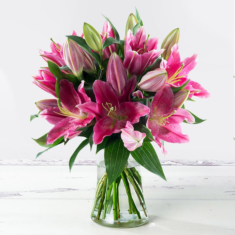 Stargazer Lily Flower Bouquet - Pink - Lilies & Oriental Lilies - Next Day Flower Delivery UK - Appleyard London