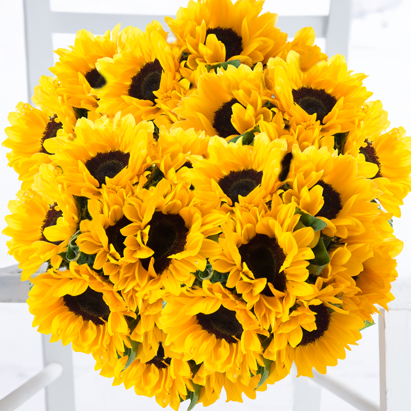 Luxury Summer Sunflower Bouquet - Grande - Sunflowers - Next Day Flower Delivery UK - Appleyard London